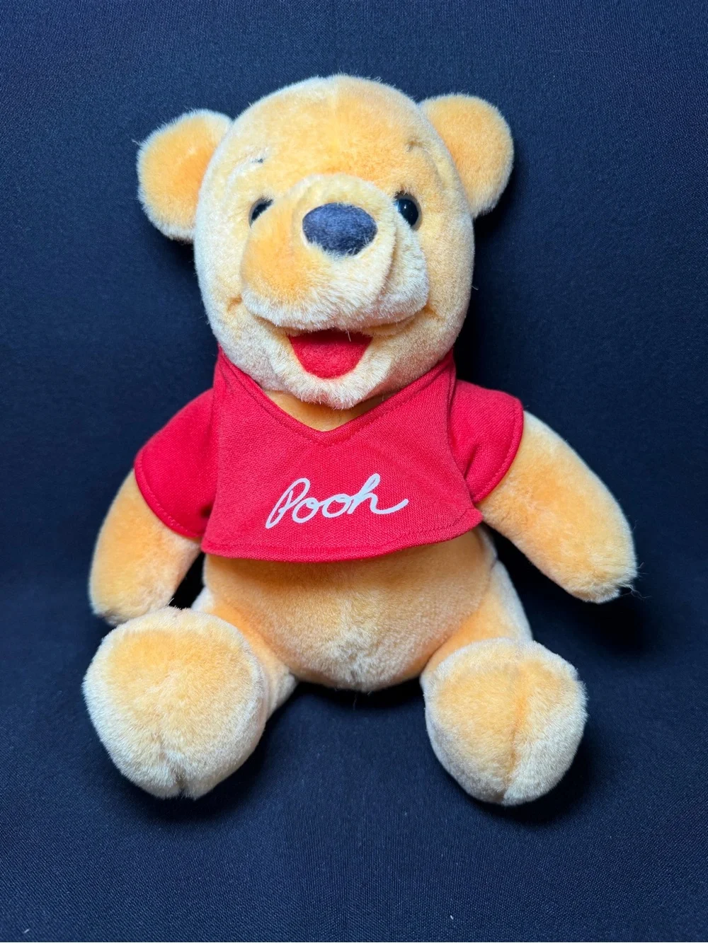 Vintage Winnie the Pooh Disneyland Walt Disney World 8
